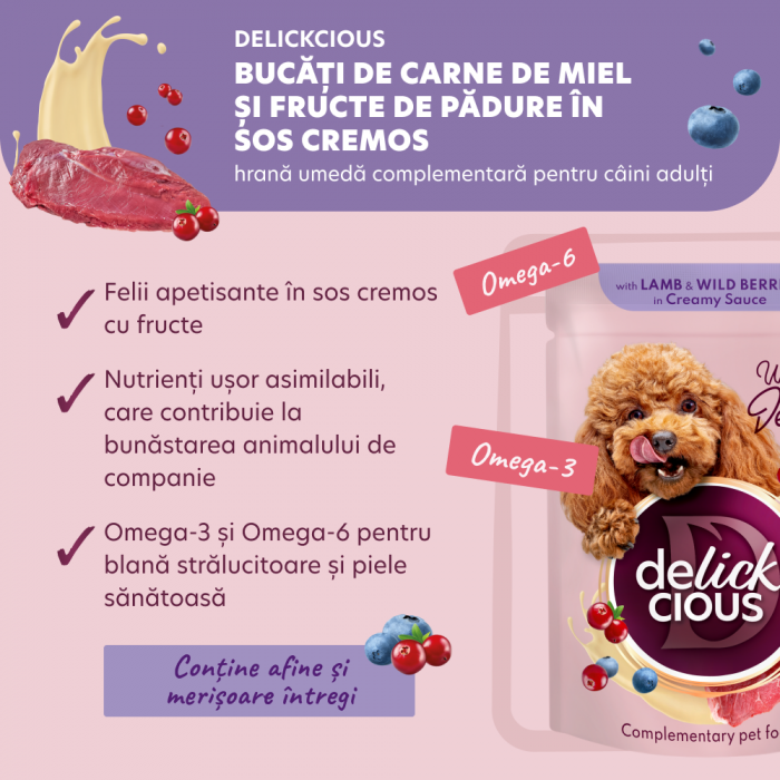DELICKCIOUS, Bucati de carne de miel si fructe de padure in sos cremos, pentru caini, 80g [3]