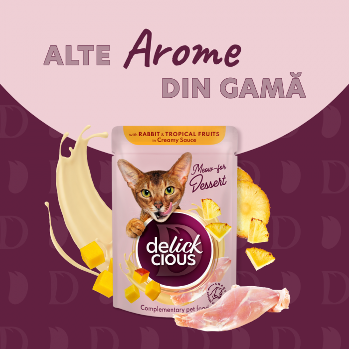DELICKCIOUS, Bucati de carne de rata si fructe de padure in sos cremos, pentru pisici, 80g [6]