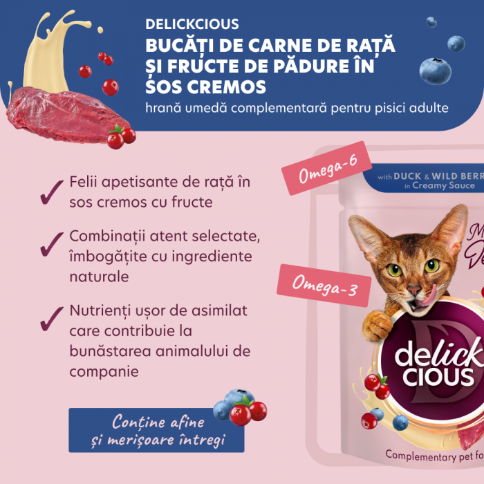 DELICKCIOUS, Bucati de carne de rata si fructe de padure in sos cremos, pentru pisici, 80g [3]