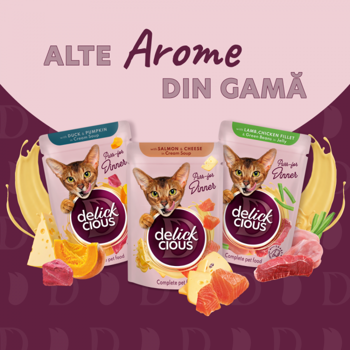 DELICKCIOUS, Stripsuri cu rata si dovleac in supa crema, pentru pisici, 85g [6]