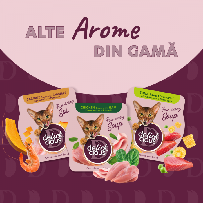 DELICKCIOUS, Supa de sardine cu creveti si dovleac pentru pisici, 80g [4]