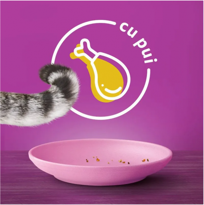 Whiskas Junior, hrana uscata pentru pisoi cu pui [4]