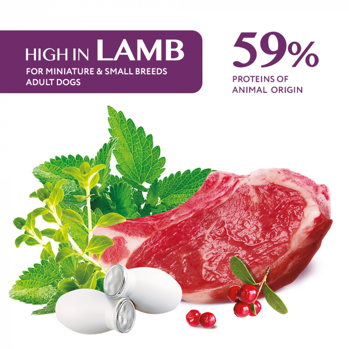 Optimeal Grain Free Hrana uscata caini de talie mica - continut ridicat de miel, 4kg [3]