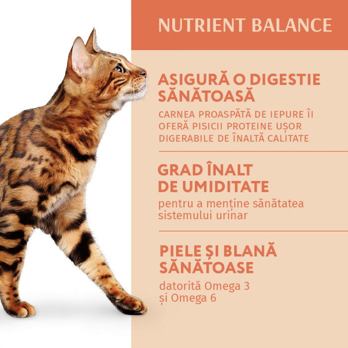 Optimeal Hrana umeda pisici adulte - cu Iepure in jeleu de morcovi, set 12*0,085kg [4]