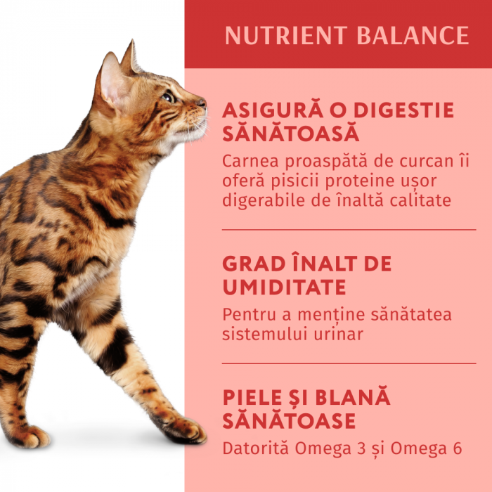 Optimeal Hrana umeda pisici adulte - Curcan in sos de dovleac, set 12*0,085kg [4]