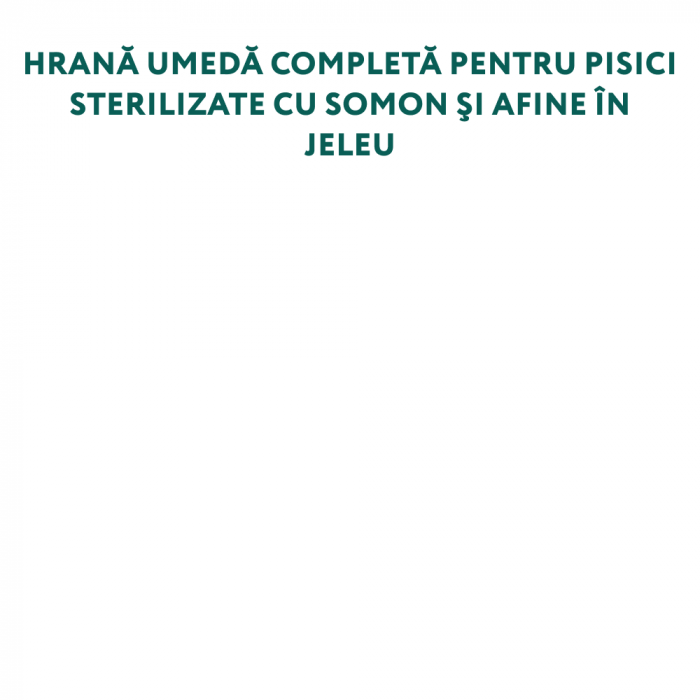 Optimeal Hrana umeda pisici sterilizate -  somon si afine in jeleu, set 12*0,085kg [5]