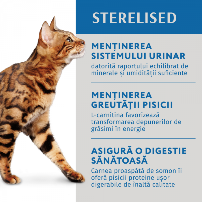 Optimeal Hrana umeda pisici sterilizate -  somon si afine in jeleu, set 12*0,085kg [3]