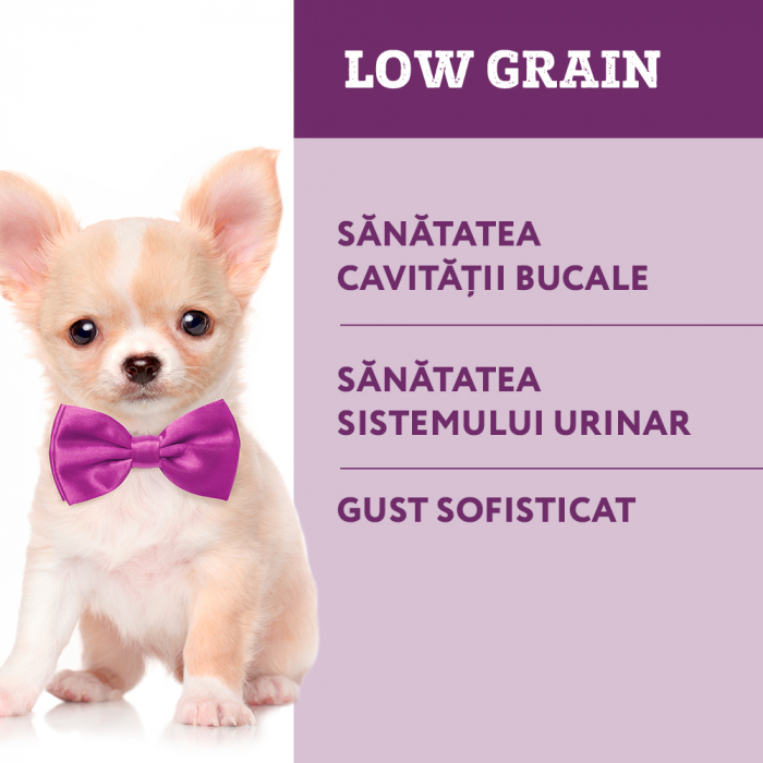 Optimeal Hrana uscata catei talie mica - cu Miel, 1,5kg [4]