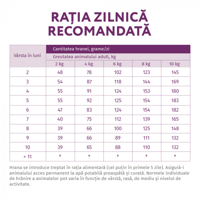 Optimeal Hrana uscata catei talie mica - cu Miel, 1,5kg [7]