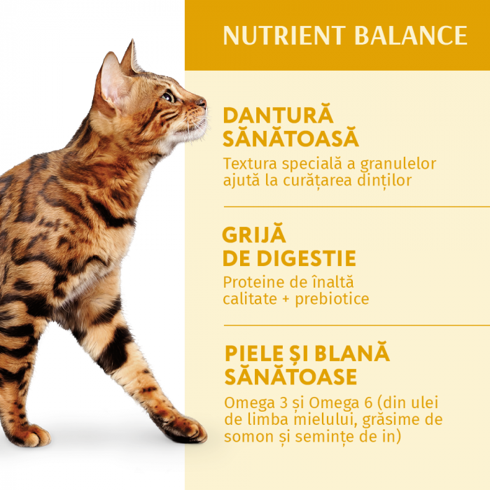 Optimeal, Hrana uscata pisici adulte, Pui, 4kg [3]