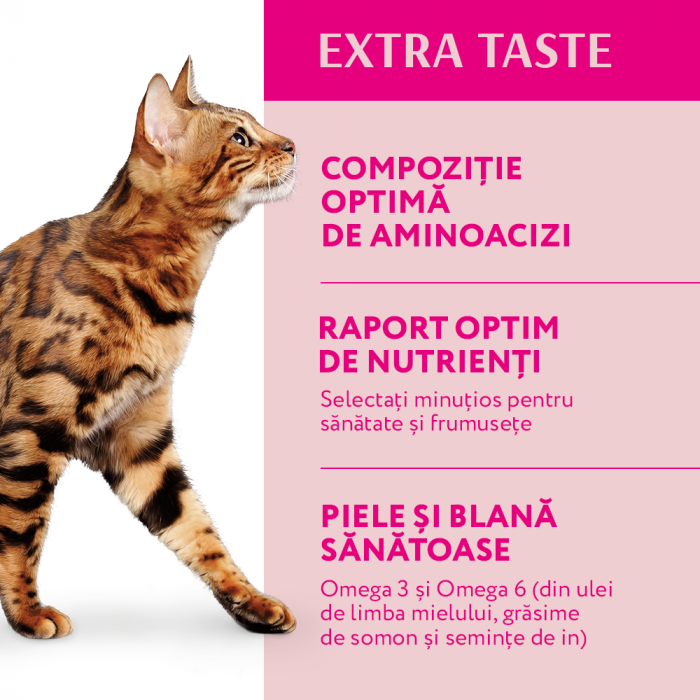 Optimeal, Hrana uscata pisici adulte, Vita, 4kg [3]