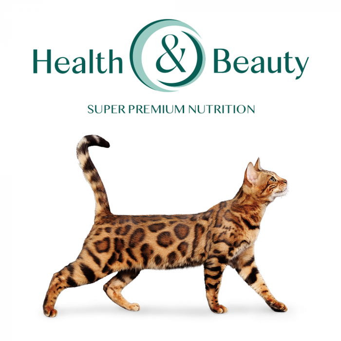 Optimeal, Hrana uscata pisoi (kitten), Pui, 4kg [7]