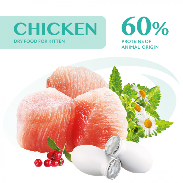 Optimeal Hrana uscata pisoi (kitten) - cu Pui, 700g [3]