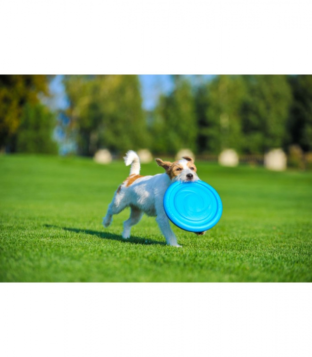 PitchDog 24, disc zburator pentru caini, albastru [4]