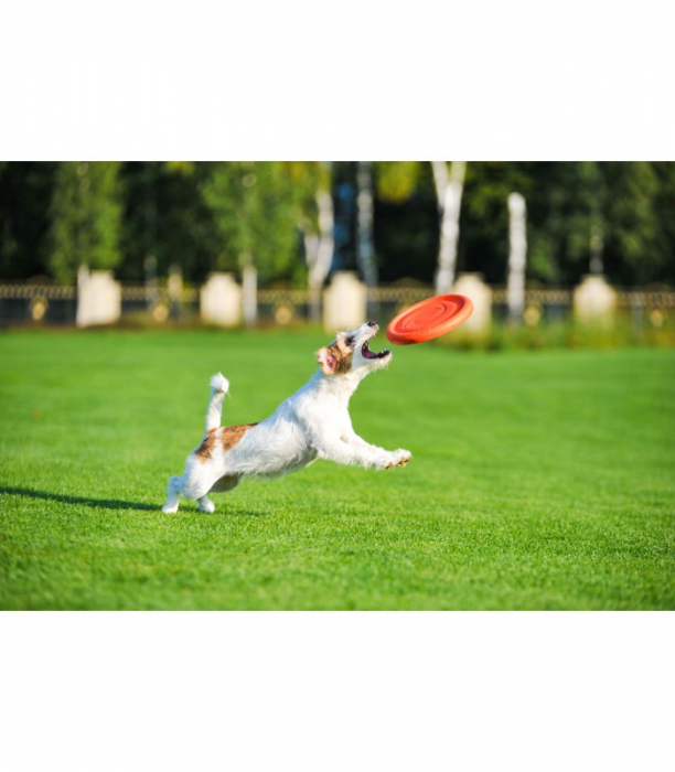 PitchDog 24, disc zburator pentru caini, portocaliu [4]