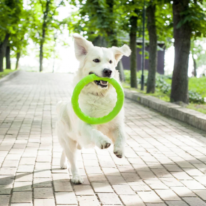 Pitch Dog, Jucarie-inel pentru caini [3]