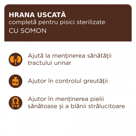 Club 4 Paws, Hrana uscata pisici sterilizate, cu somon, 2kg [1]