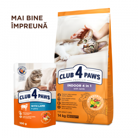 Club 4 Paws, Premium Indoor, Hrana uscata pisici adulte, cu miel, 2kg [4]