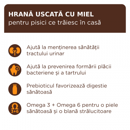 Club 4 Paws, Premium Indoor, Hrana uscata pisici adulte, cu miel, 2kg [1]