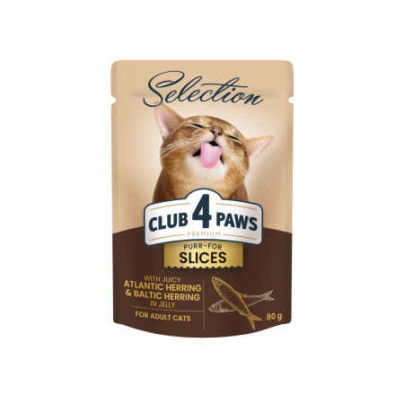 Hrana umeda - Club 4 Paws Premium Plus, Selection, Hrana umeda pentru pisici - Bucati de hering Baltic & Atlantic in jeleu, 12x80g