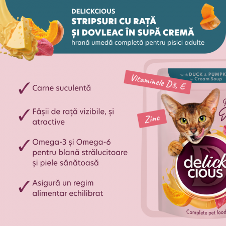 DELICKCIOUS, Stripsuri cu rata si dovleac in supa crema, pentru pisici, 85g [2]