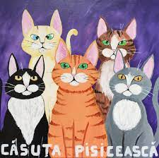 Doneaza hrana - Doneaza hrana pentru Casuta Pisiceasca Iasi