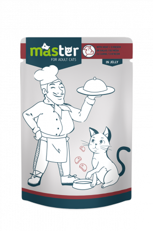 Hrana umeda - Master Hrana umeda pisici - cu carne, 24x80g