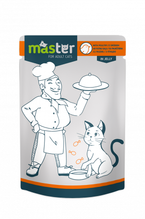 Hrana umeda - Master Hrana umeda pisici - cu pasare in jeleu, 24x80g
