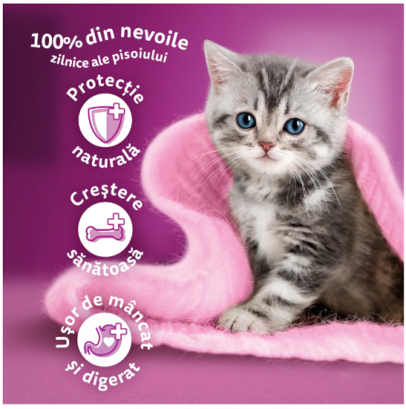 Whiskas Junior, hrana uscata pentru pisoi cu pui [1]