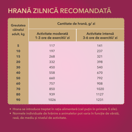 My Love, Hrana uscata, caini activi, 11kg [3]