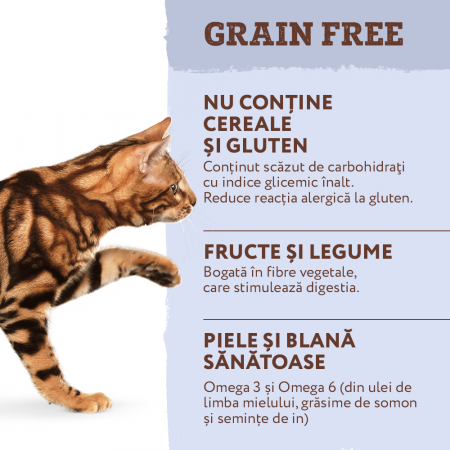 Optimeal Grain Free Hrana uscata pisici adulte - rata si legume, 300g [3]