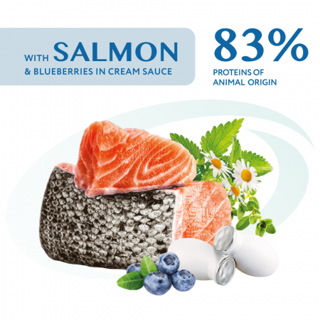 Optimeal Hrana umeda caini adulti, somon si afine in sos, 12x0,1kg [1]