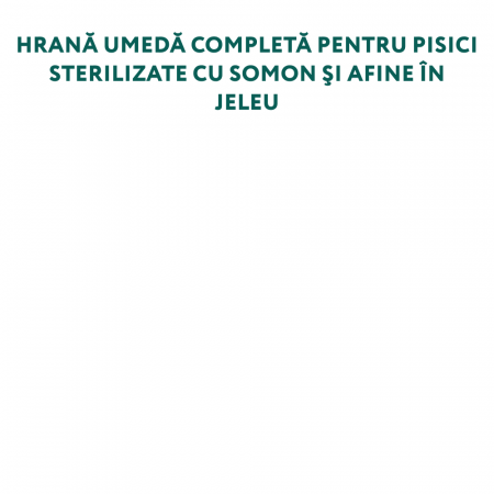 Optimeal Hrana umeda pisici sterilizate -  somon si afine in jeleu, set 12*0,085kg [4]