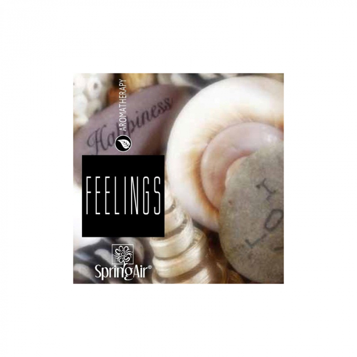 Odorizant spray pentru ambient si tesaturi,Feelings,200ml [3]