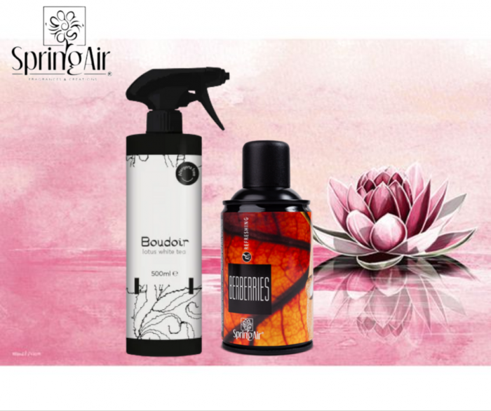 Pachet Odorizare Berberries/Lotus White Tea -Rezerva odorizanta 250ml+Odorizant ambiental 500ml [1]