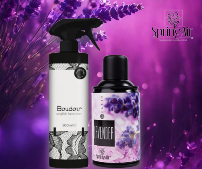Pachet Odorizare Lavanda -Rezerva odorizanta 250ml+Odorizant ambiental 500ml [1]