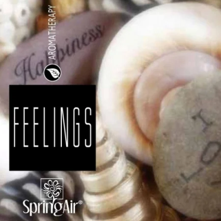 Rezerva odorizanta FEELINGS Spring Air (spray 3000 pulverizari) [2]