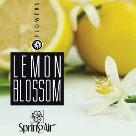 Rezerva odorizanta LEMON BLOSSOM Spring Air (spray 3000 pulverizari) [3]