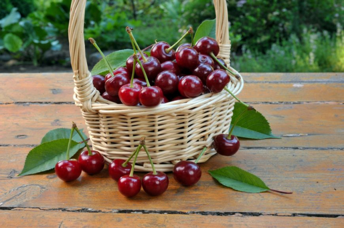 Rezerva odorizanta pentru camera Cherry,250ml [3]
