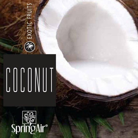 Rezerva odorizanta pentru camera,Coconut,250ml [4]