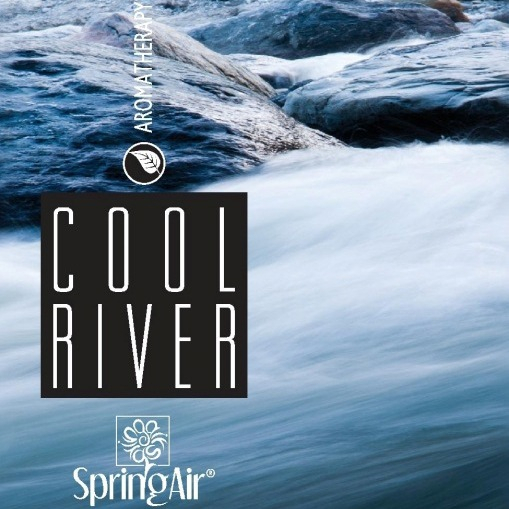Rezerva odorizanta pentru camera,,Cool River,250ml,Spring Air [3]