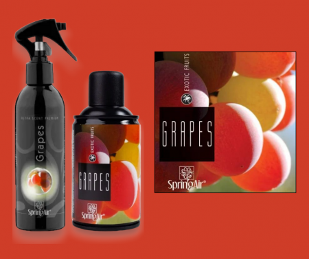 % REDUCERI ODORIZANTI SI NEUTRALIZATORI PENTRU MIROS - Pachet Odorizare Grapes -Rezerva odorizanta 250ml+Odorizant ambiental 200ml