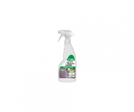 CURATENIE & INTRETINERE EXTERIOR - Solutie pentru curatare mobilier din ratan,500ml