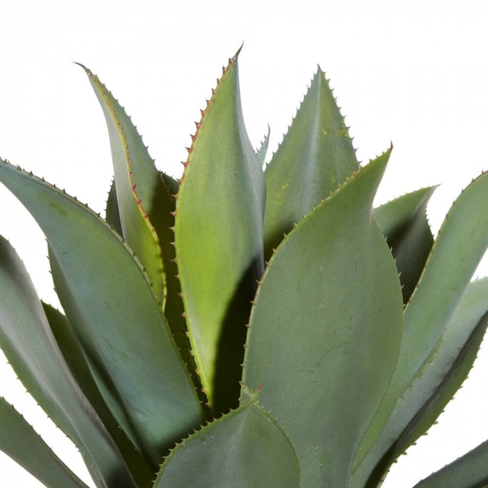 Pom Artificial Agave cu 3 Tulpini, pentru Decor Interior si Exterior, 180cm Verde [3]