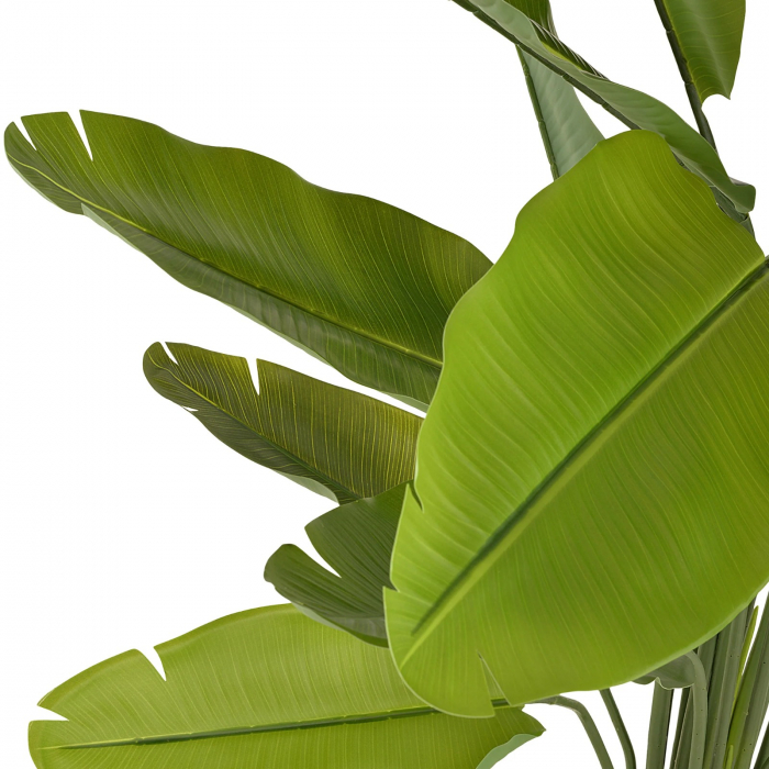 Copac artificial STRELITZIA, Fara Ghiveci Inclus, 180cm, Culoare Verde [5]