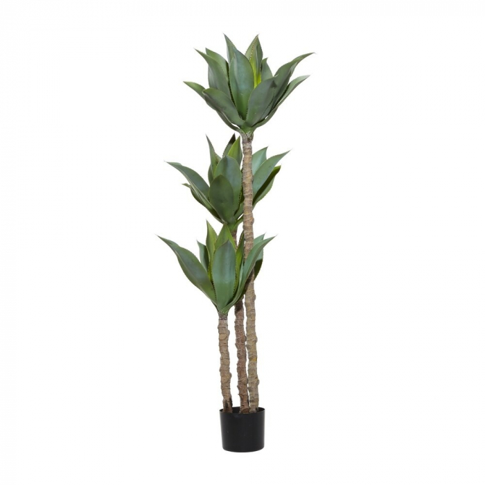 Pom Artificial Agave cu 3 Tulpini, pentru Decor Interior si Exterior, 180cm Verde [6]