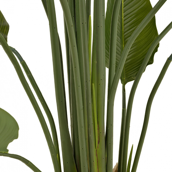 Copac artificial STRELITZIA, Fara Ghiveci Inclus, 180cm, Culoare Verde [4]