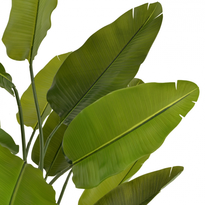 Copac artificial STRELITZIA, Fara Ghiveci Inclus, 180cm, Culoare Verde [6]