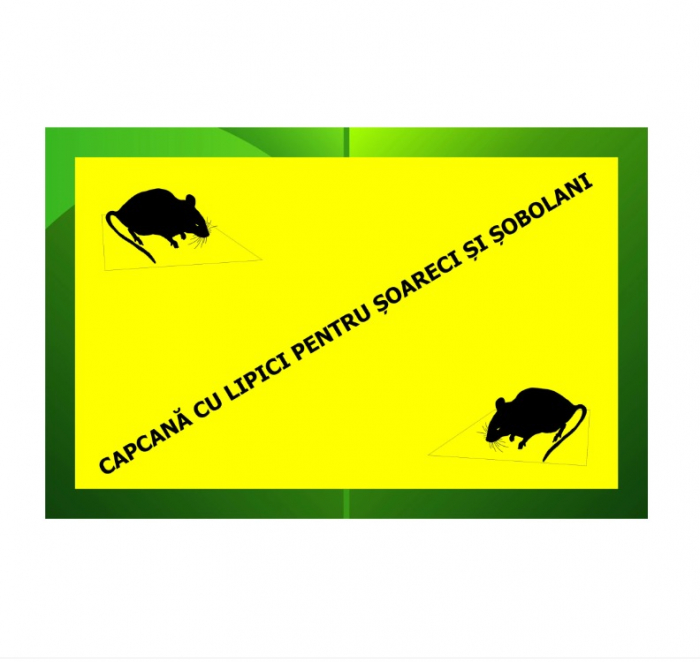 Set 10 Capcane pentru Soareci/ Rozatoare, cu Lipici, Tip Carte [2]
