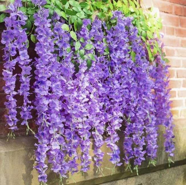 Set 12 Bucati Planta Artificiala Curgatoare, Agatat ghirlanda flori de matase, pentru nunta petrecere gradina in aer liber verdeata acasa decorare de perete, Lungime 1.1m, Violet [3]